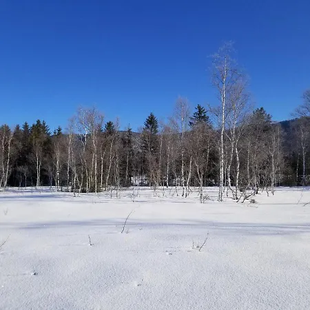 Zirbenstueberl - Chiemgau Karte * Inzell